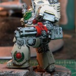 Vet Contemptor